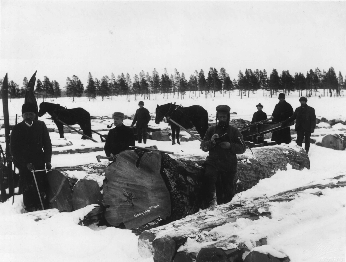 Anders Beer Wilse, Tømmermåling, Engerdal