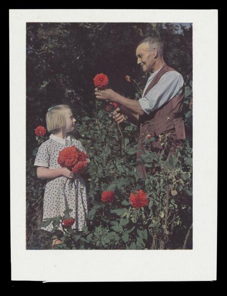 Hinde, John Wilfrid, Mr. Keal in his Allotment with his Granddaughter Winifred