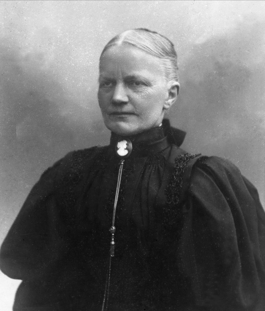 Gustav Borgen, Avfotografering.