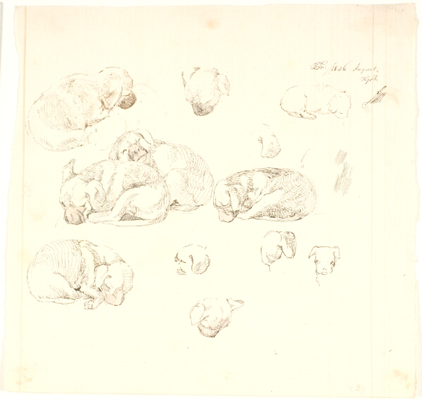 Lorenz Frølich, Studier af hunde