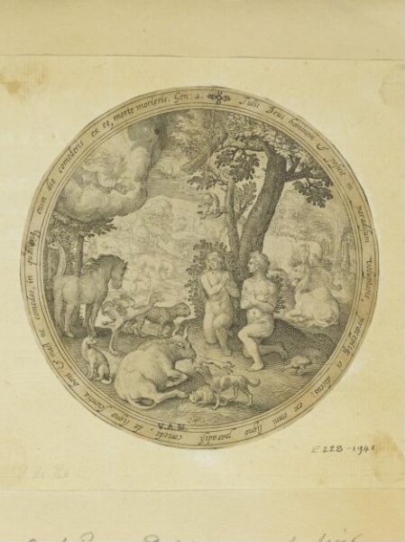 Unknown, Adam and Eve and the creation of the animals