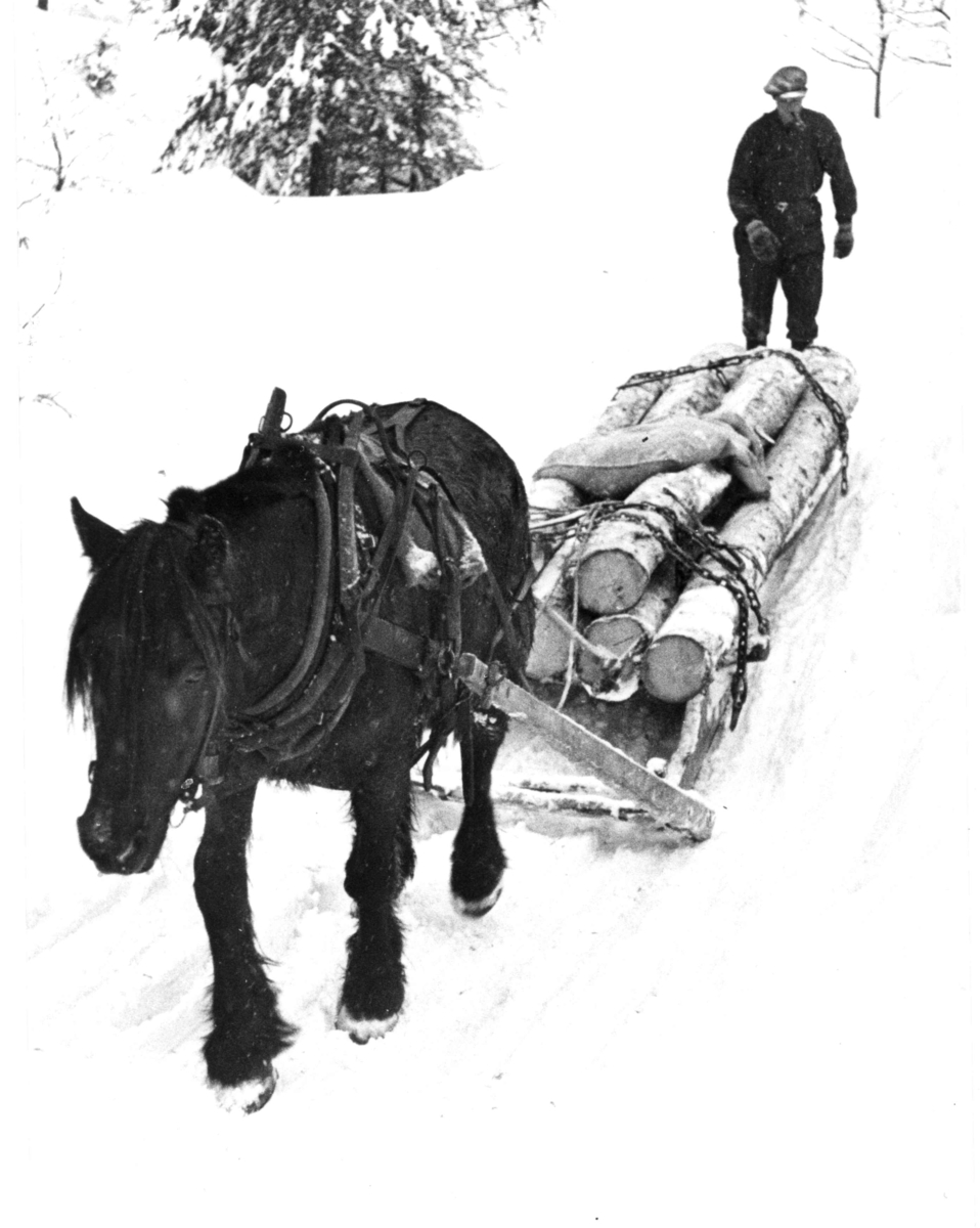 Anders Beer Wilse, Tømmerkjøring, Oslo