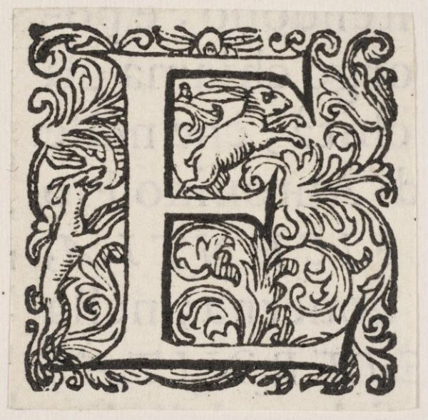 Unknown, Print
