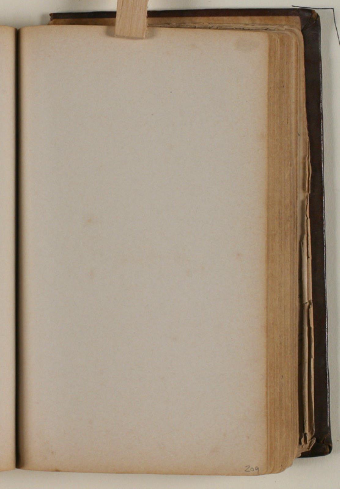 Niels Larsen Stevns, Blank