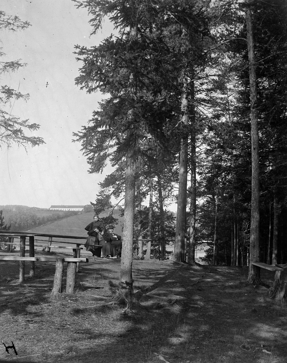 Jacob Tollesen Hoel, Hovinsholm gård, Helgøya i Ringsaker. Hovinsholm, tre ukjente (antatt 3 av Jacob Hoels sine barn). Trebenker. Gården i bakgrunnen. Bildet er tatt fra Hovinsholmen. Foto Jacob Hoel