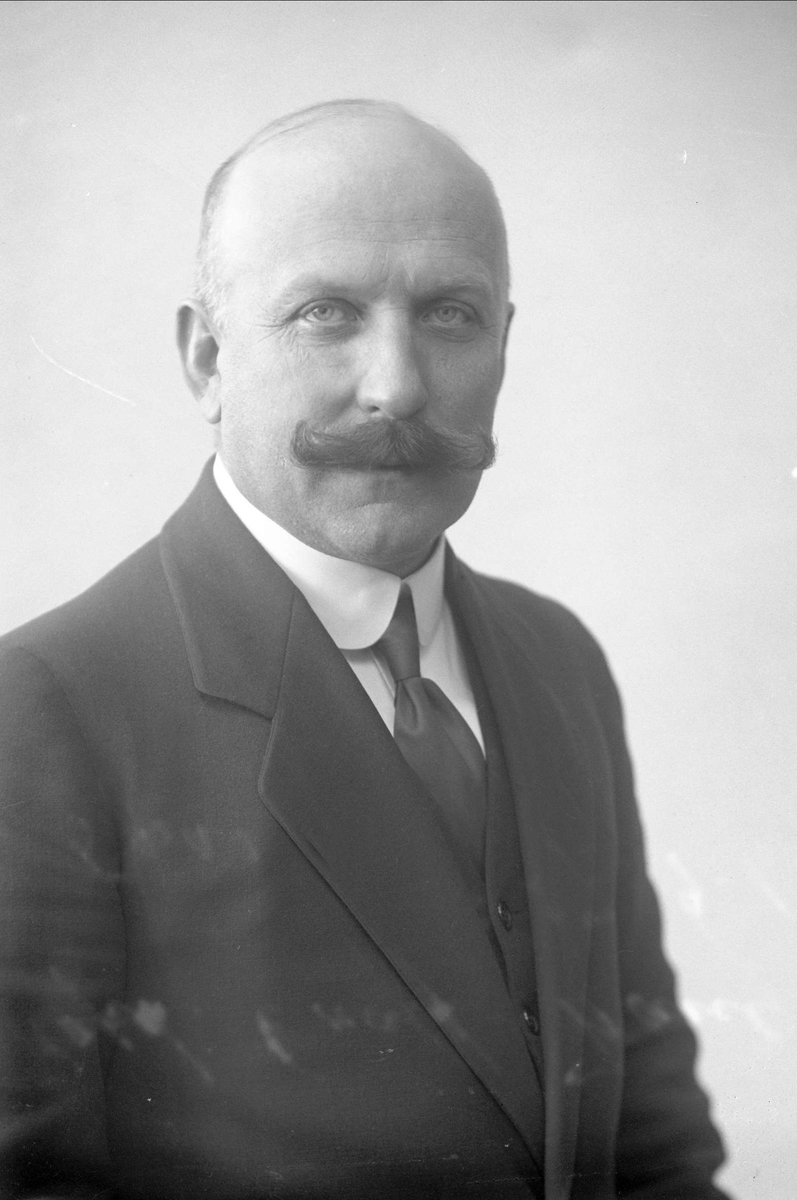 Gustav Borgen, Portrett, Graff-Wang i dress.