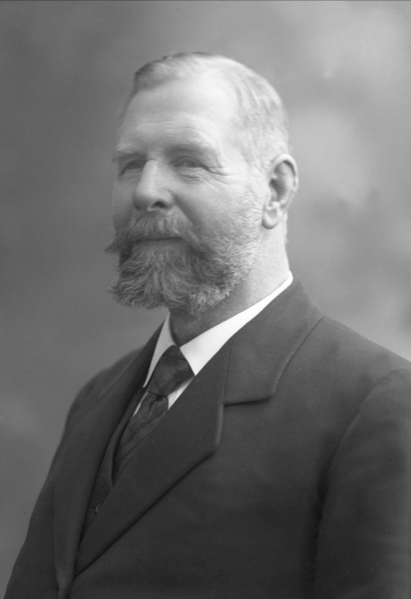 Gustav Borgen, NFB.50297