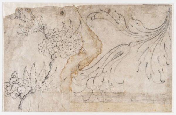 unknown, Drawing