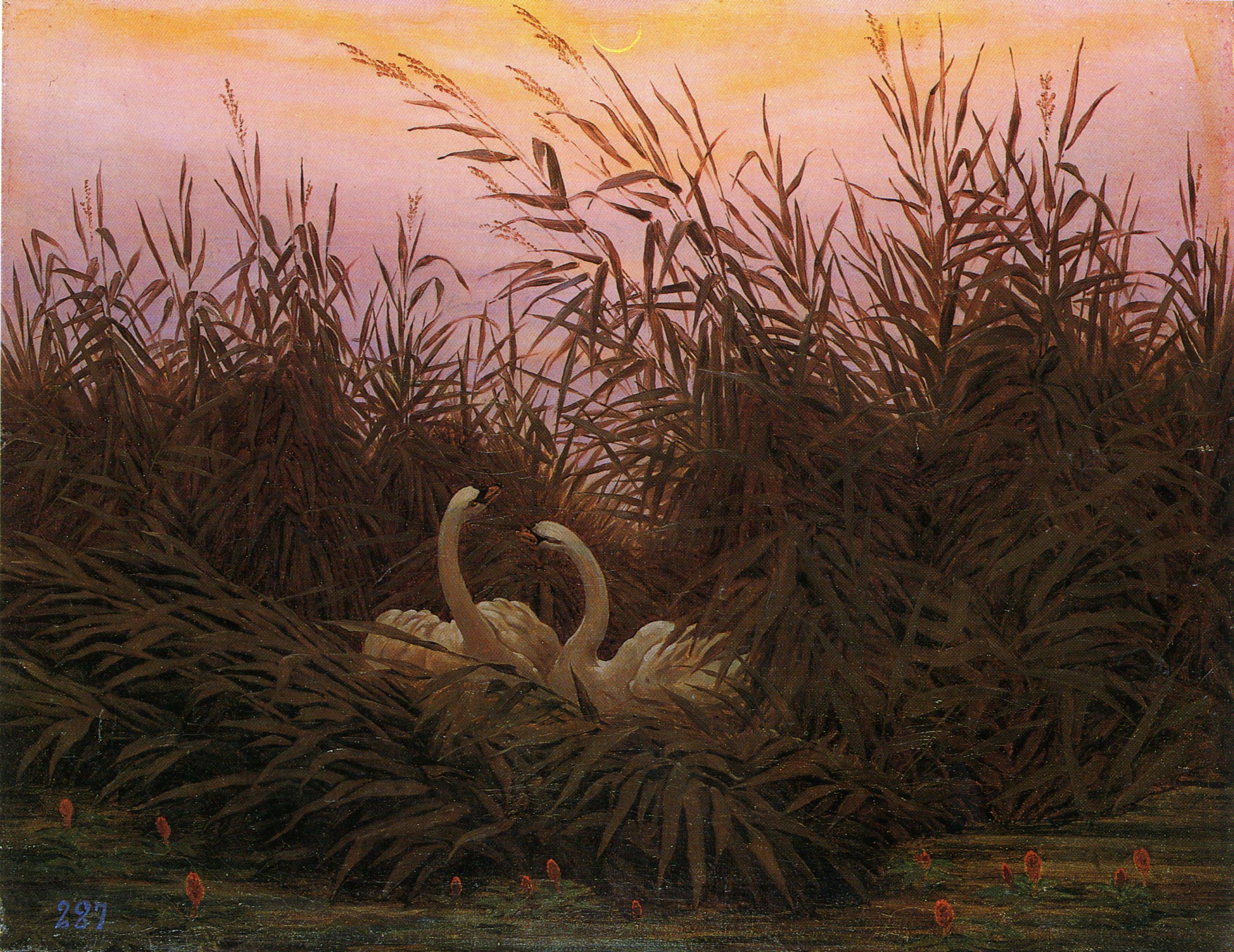 Caspar David Friedrich, Swans in the reeds at the first dawn