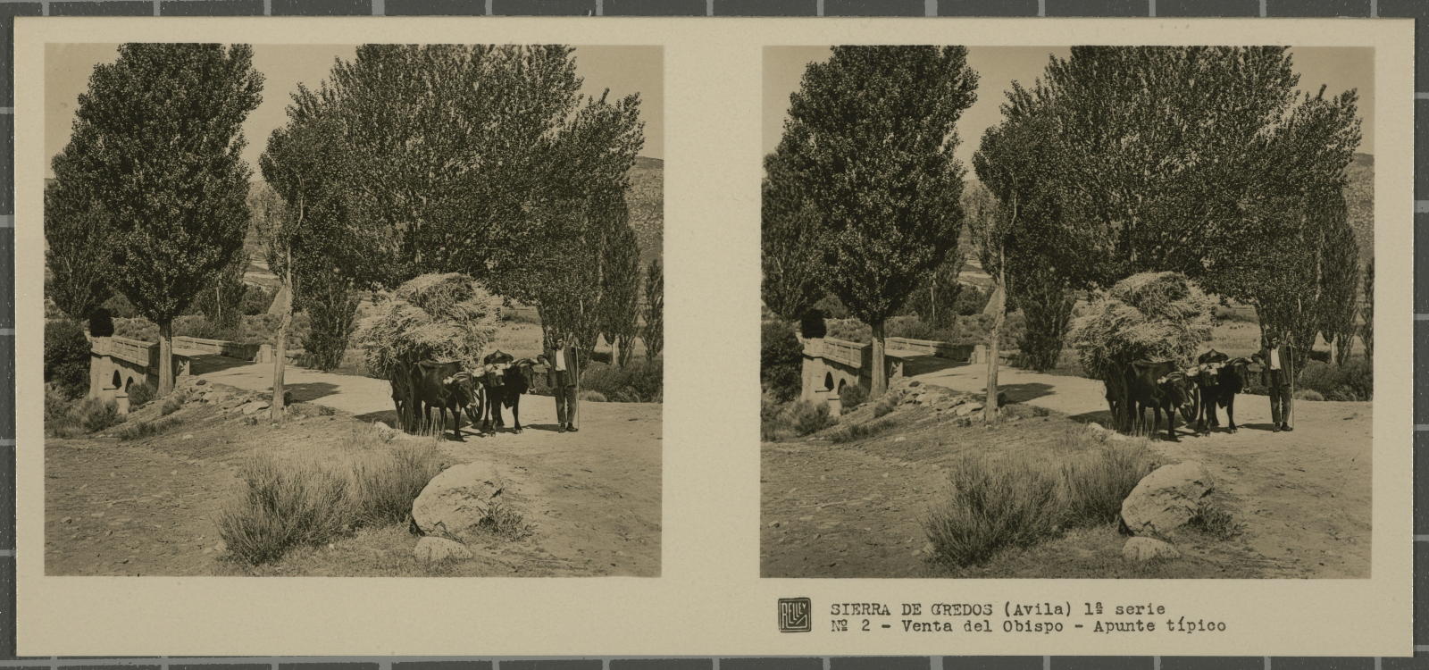 Desconegut, Sierra de Gredos (Avila)