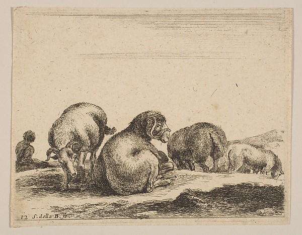 Stefano della Bella, Plate 12: Sheep and ram in a pasture, from "Various animals" (Diversi animali)