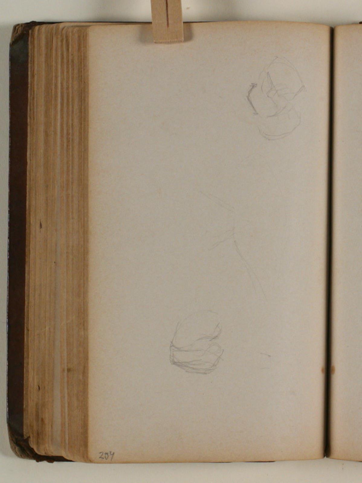 Niels Larsen Stevns, Studier af fugle