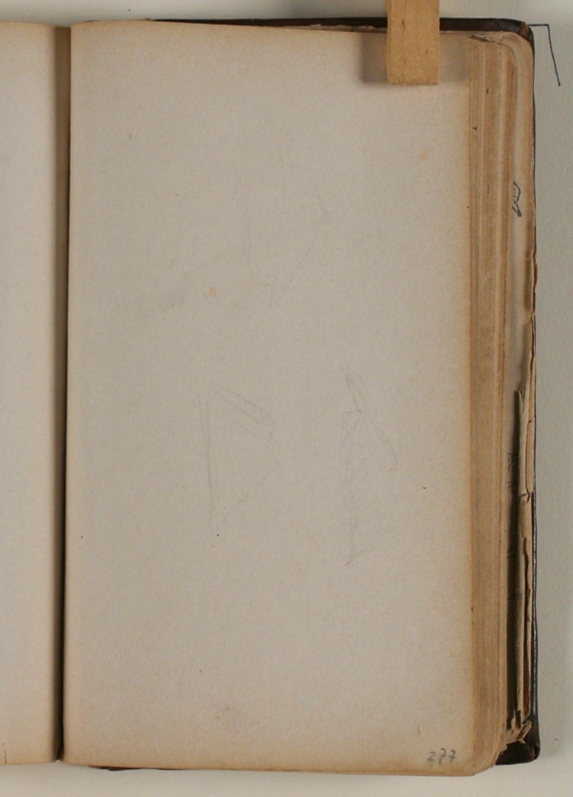 Niels Larsen Stevns, Studier af pelikan