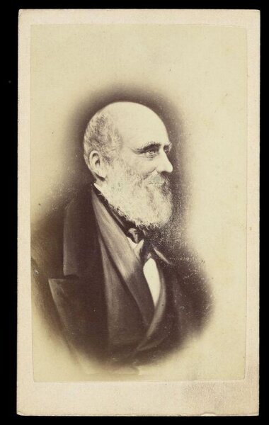 Lawrence Lowe, A portrait of a man