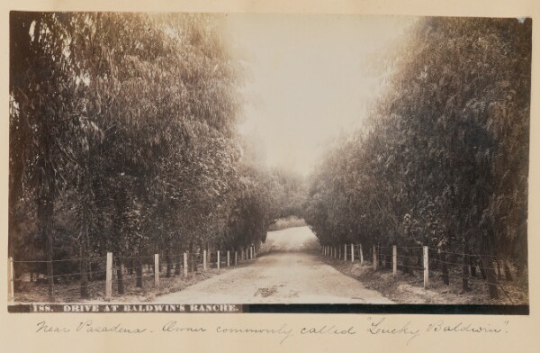 Unknown, Drive at Baldwin's Ranch