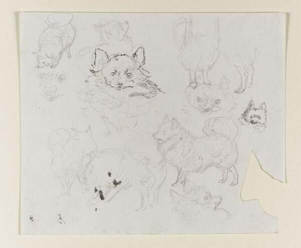Potter, Beatrix, drawing