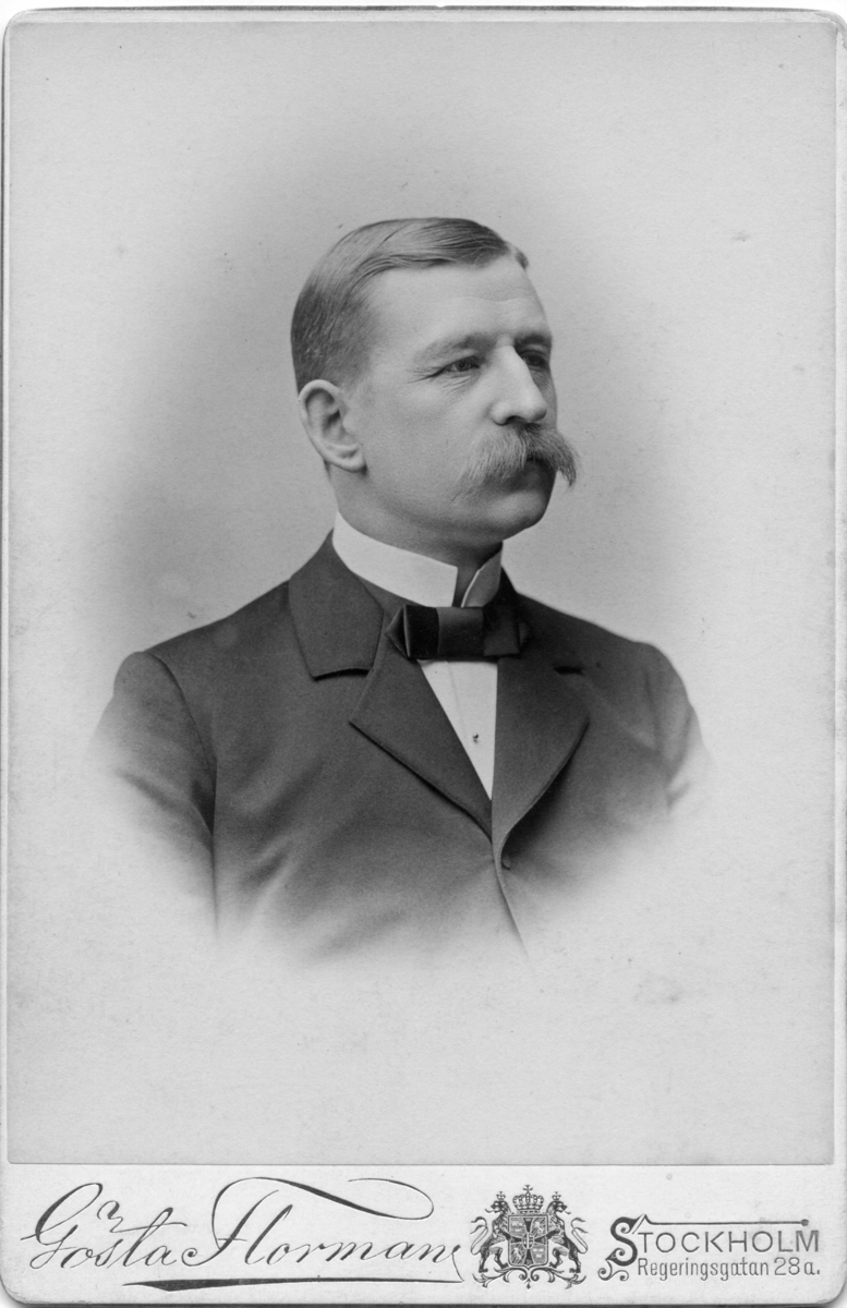 Gösta Florman, Salomon August Andrée, 42 år