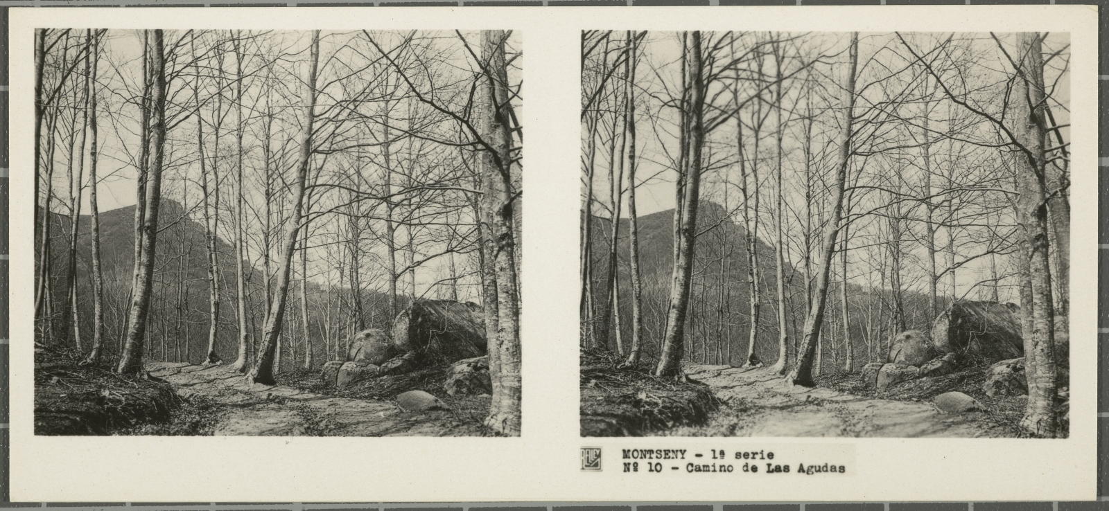 Desconegut, Montseny (Barcelona-Gerona)