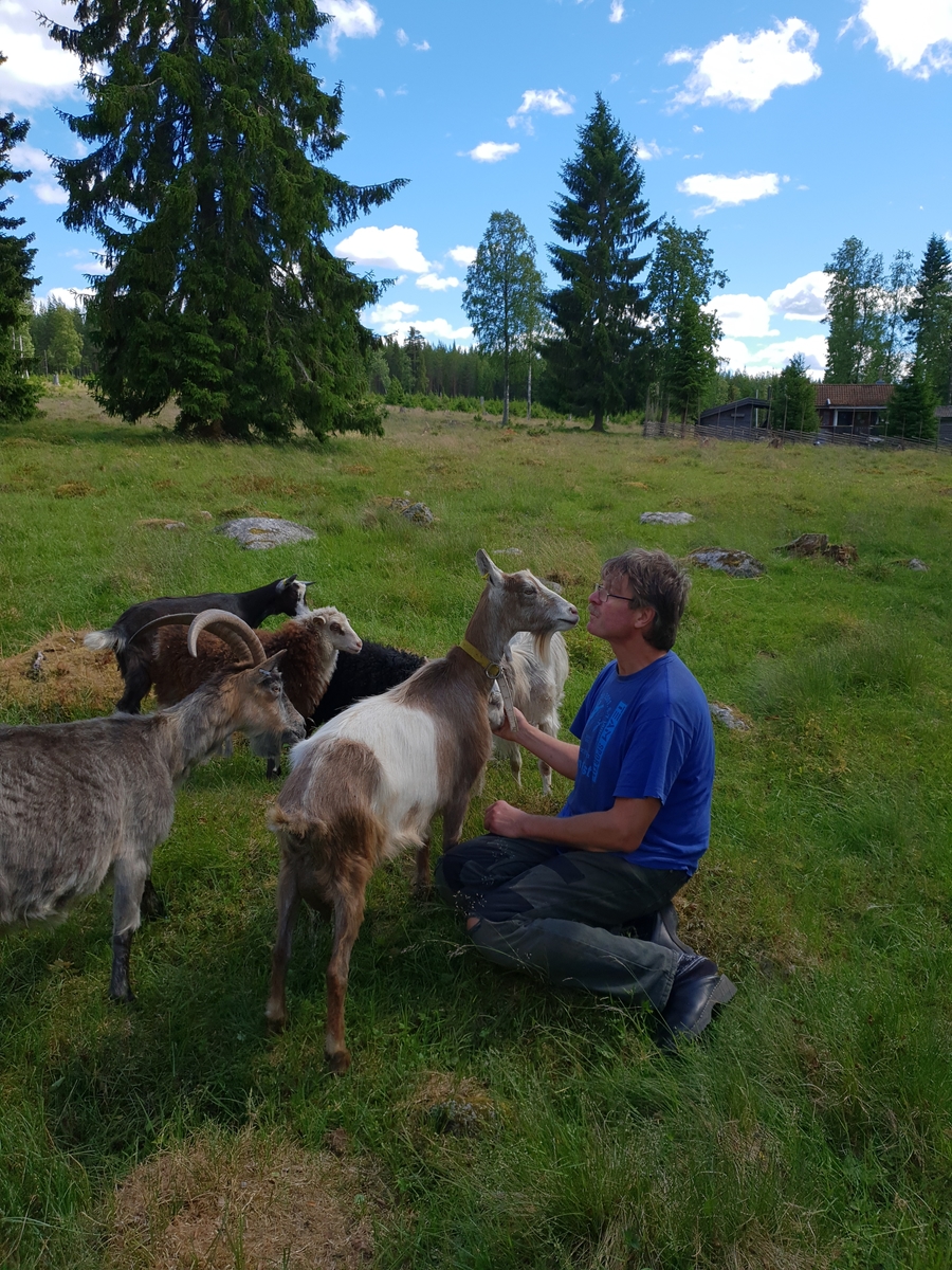 Jennie Tiderman-Österberg, Goth Bertil Johansson with Goats. The Priest Boders, Jusvik, 2018.