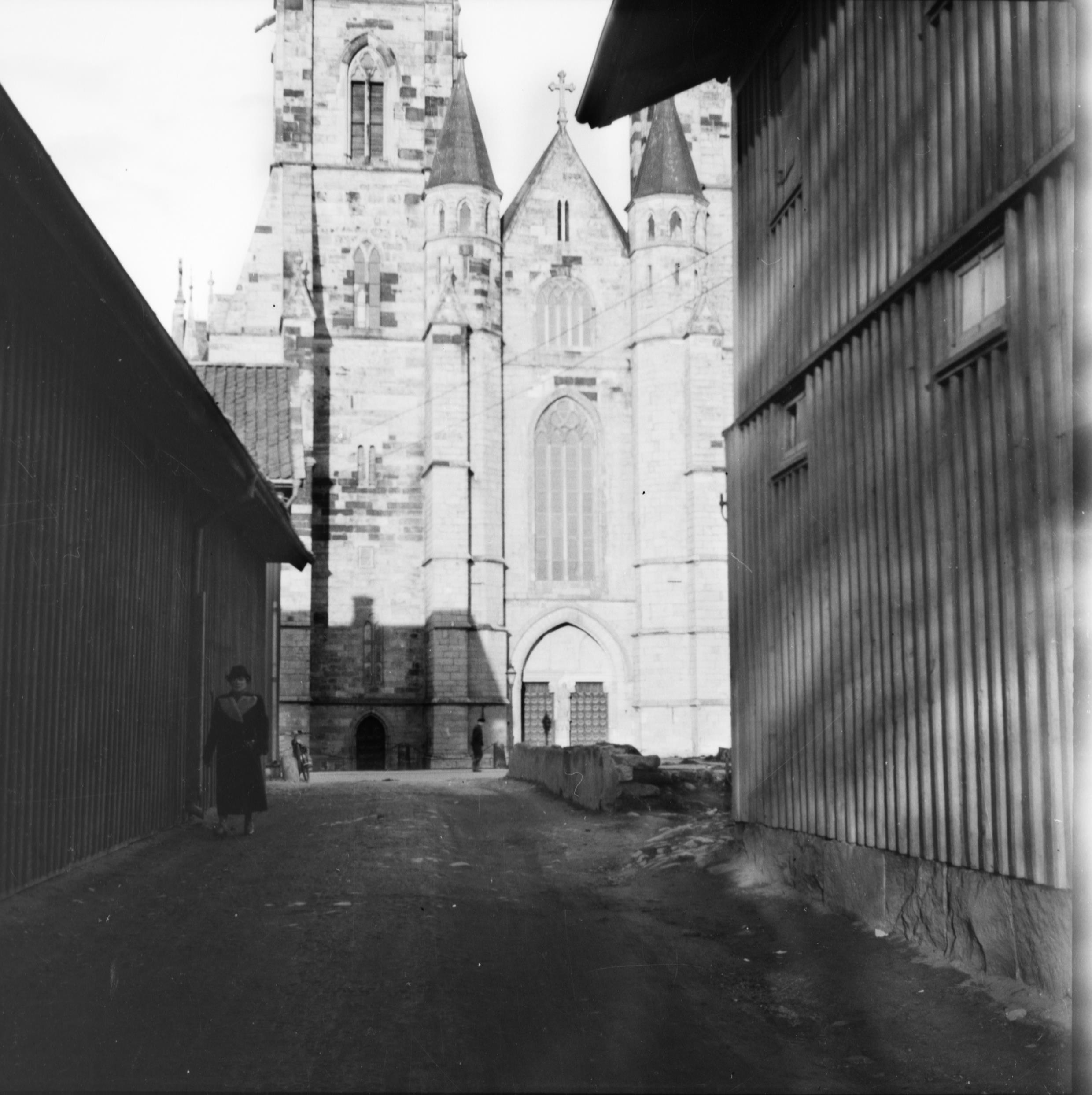 E. Lundberg, Skara domkyrka (Sankta Maria kyrka)