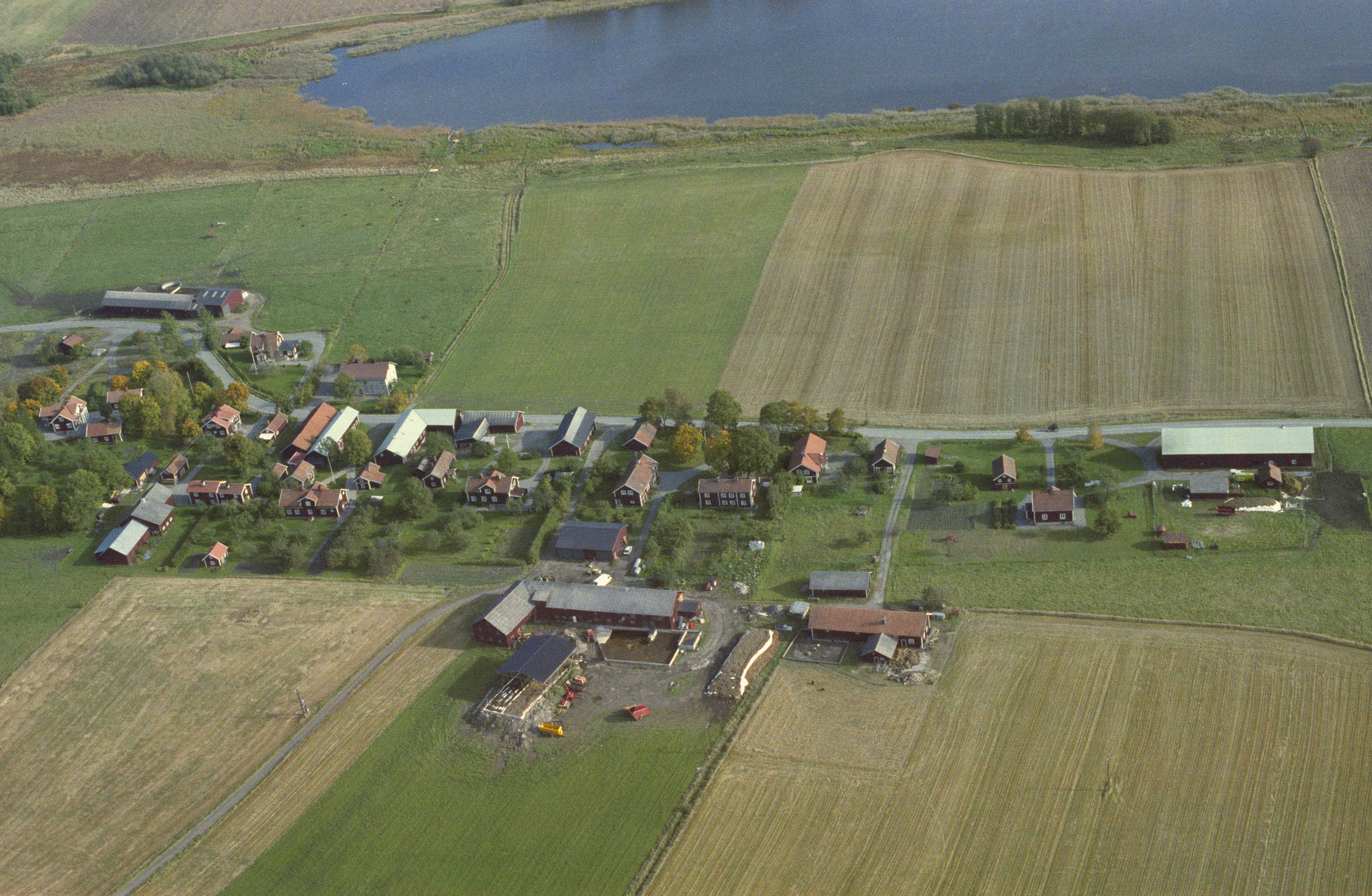 Jan Norrman, Gåsinge-Dillnäs 384:1