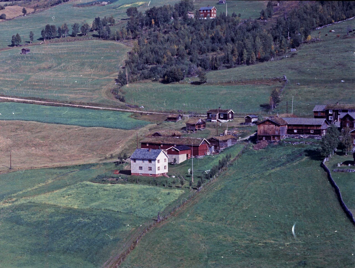 Widerøes Flyveselskap A/S, Gårdsbruk.