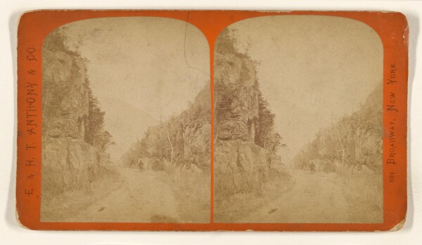 Edward and Henry T. Anthony & Co., White Mountain Notch. [White Mountains]