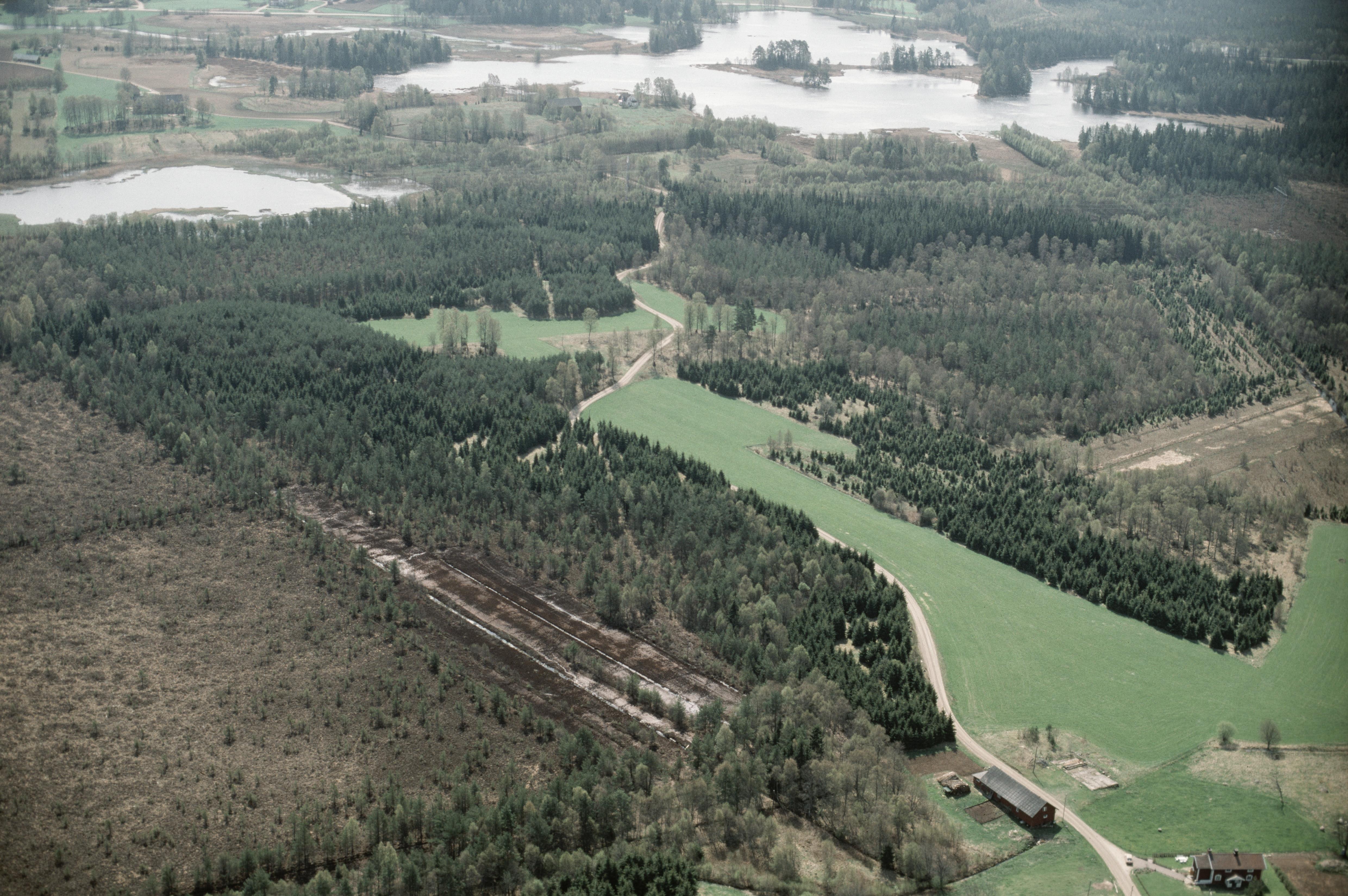 Jan Norrman, Tranemo 339:1