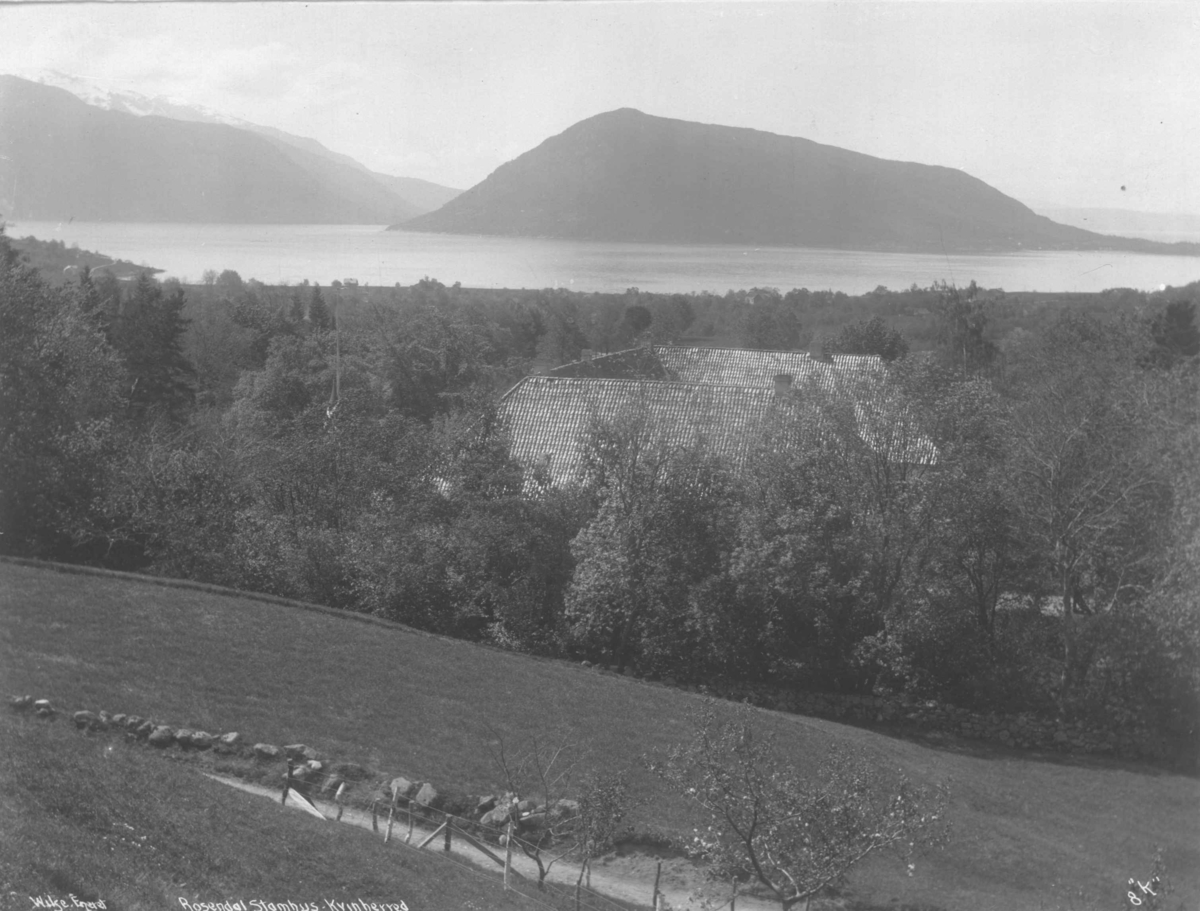 Anders Beer Wilse, Taket på Baroniet Rosendal, med sjøen og øya Snilstveitøy i bakgrunnen.