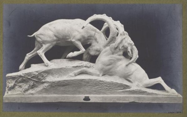 unknown, Photograph