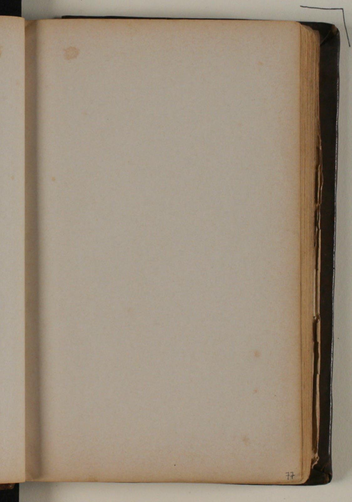 Niels Larsen Stevns, Blank