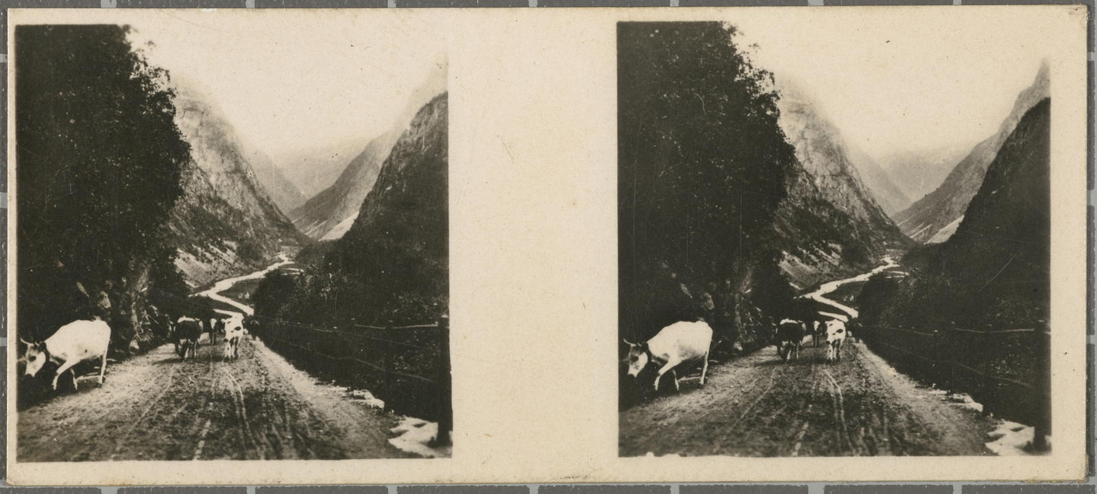 Desconegut, N.º 193. Indre Suien. - Valle del Naerö (Naerödal.)
