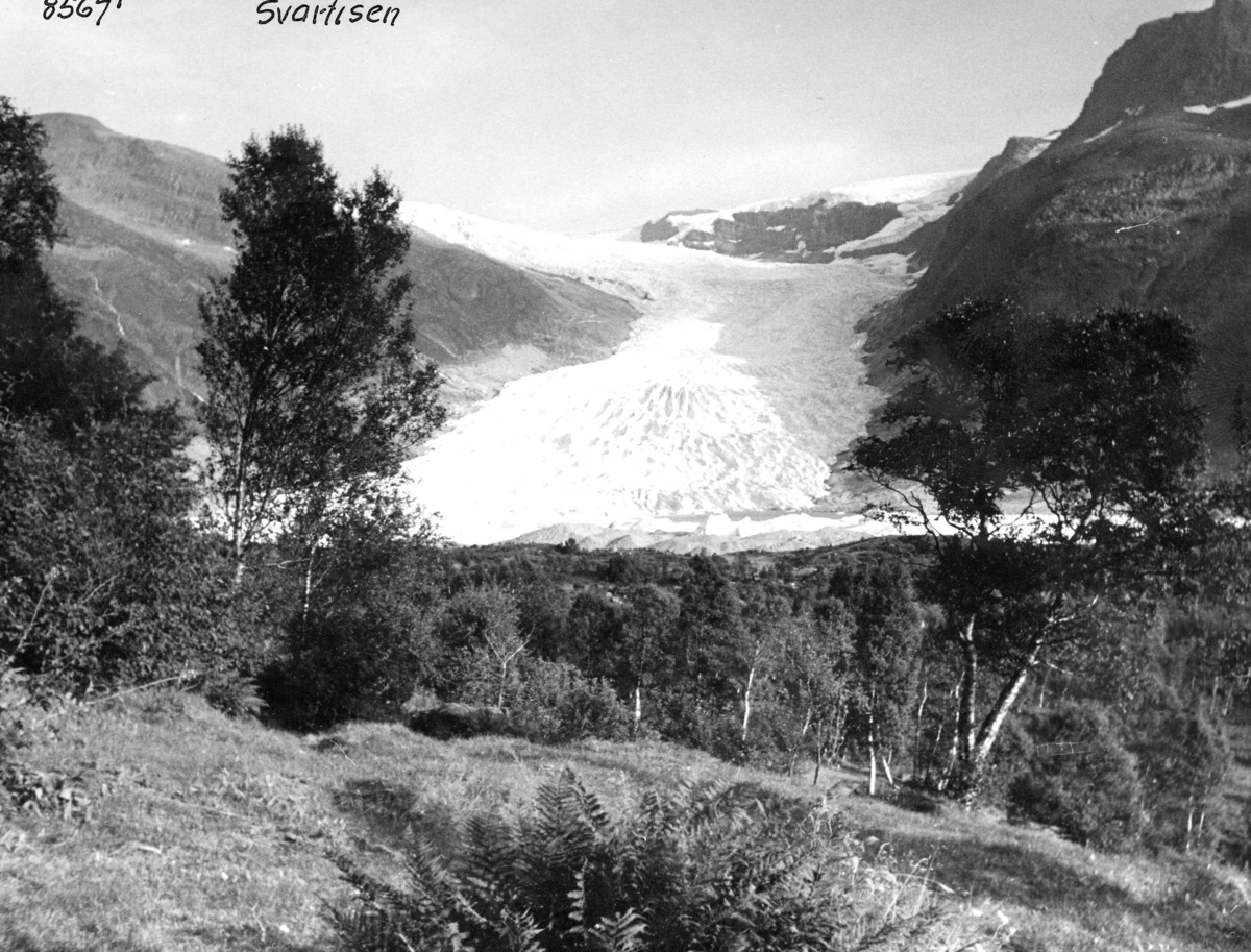 Anders Beer Wilse, Topografi