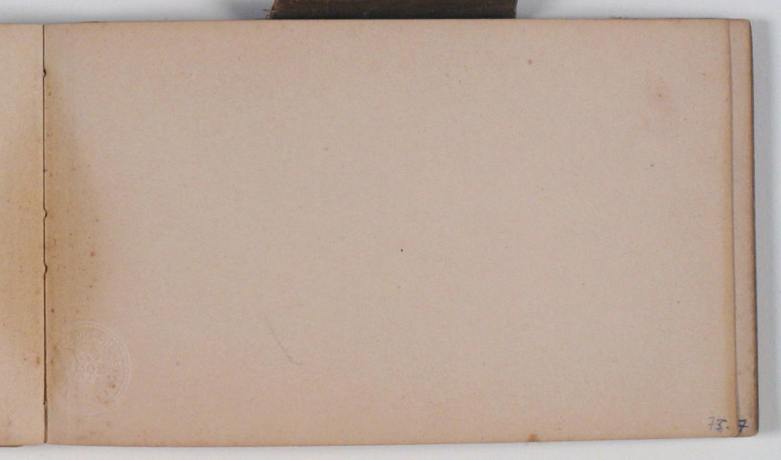 Niels Larsen Stevns, Blank