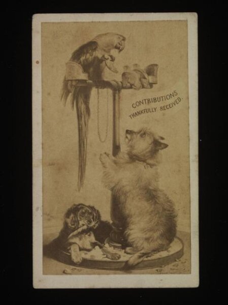 Unknown, Drawing of Two Dogs and a Parrot
