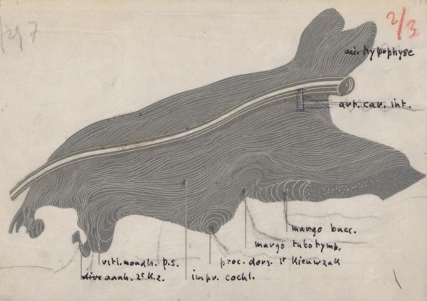 Harry de Bles, Part of the respiratory or digestive system