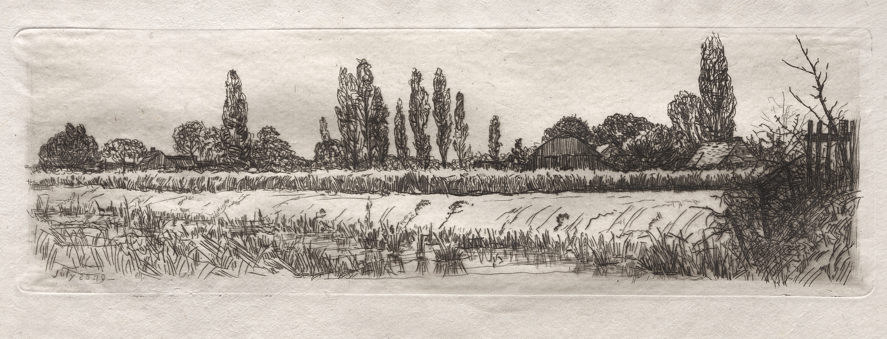 Otto H. Bacher, Cornfield