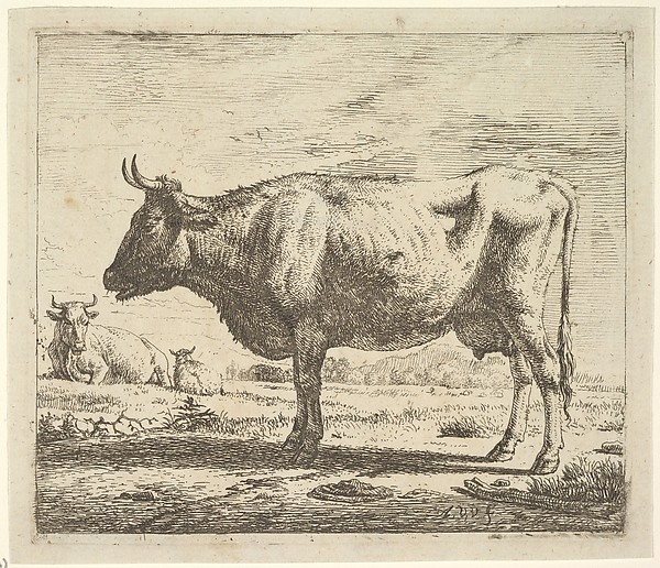 Adriaen van de Velde, Two Cows and a Sheep, plate 4 from "Different Animals"