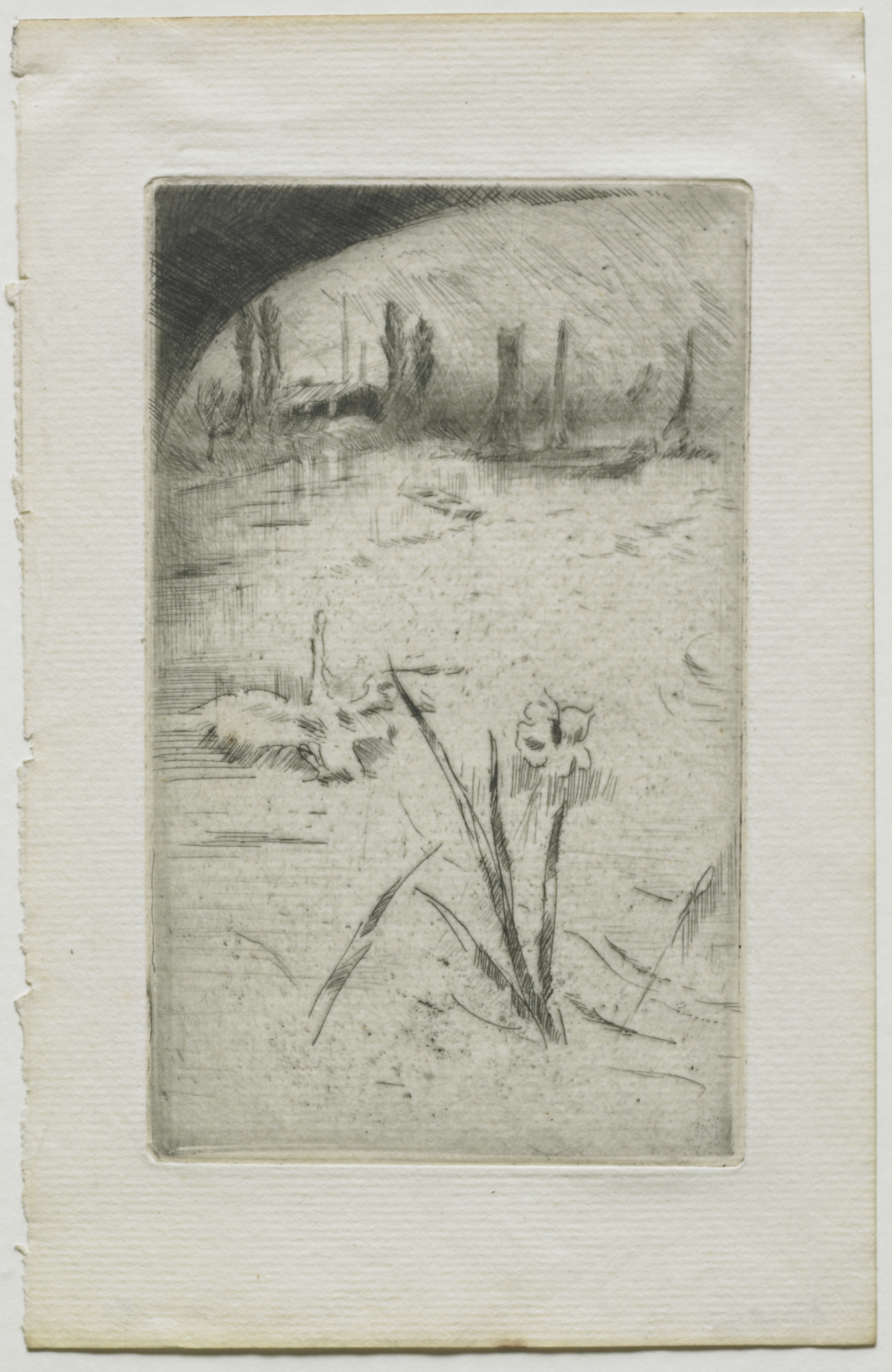 James McNeill Whistler, Swan and Iris