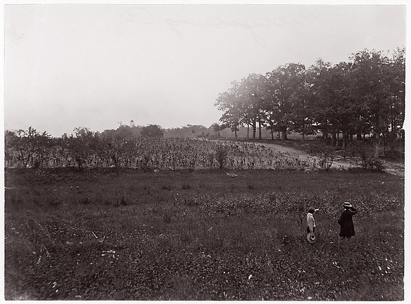 Unknown, [Battlefield of Gettysburg, Pennsylvania (Scene of General Reynold's Death, The Eastern Edge of McPherson's Woods, view looking toward Seminary Ridge)]