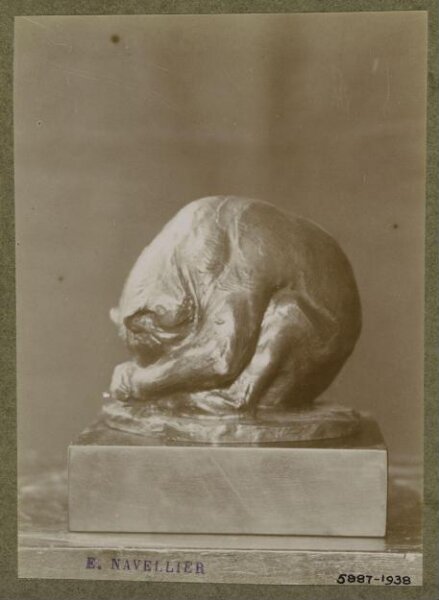 unknown, Photograph