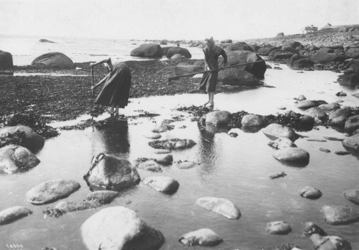 Anders Beer Wilse, Tare-sanking