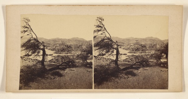 Francis Frith, [Island of Abd e' Sour, Ethiopia.]