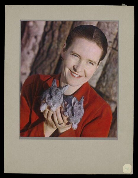 Hinde, John Wilfrid, Chinchilla Rabbit Farm near Exmouth