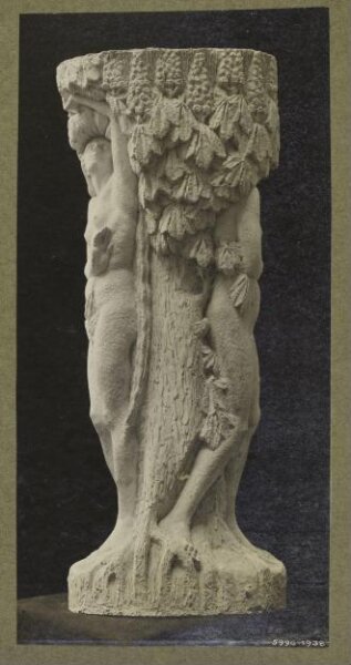 unknown, Photograph