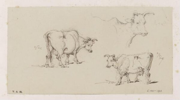 George Chinnery, Three studies of cows