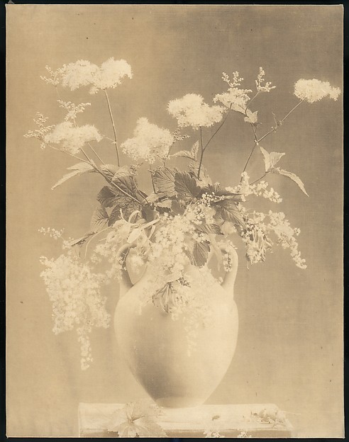 Unknown, [Vase of Flowers]