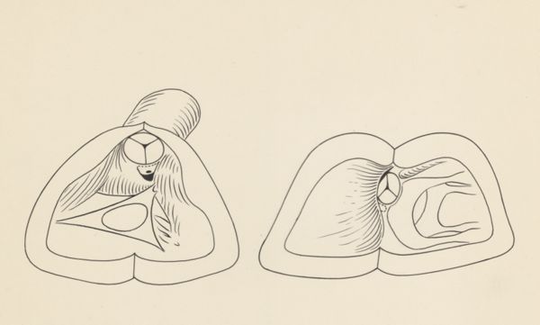 J Tinkelenberg, Schematic representation of a part of the heart