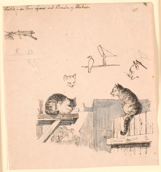 Johan Thomas Lundbye, De to katte. F.o. studier af kattehoveder, en fugl, et katteøre og bjælke-værk. Illustration til Kaalunds "Fabler for Børn". Se kommentar fra arkkatalog.