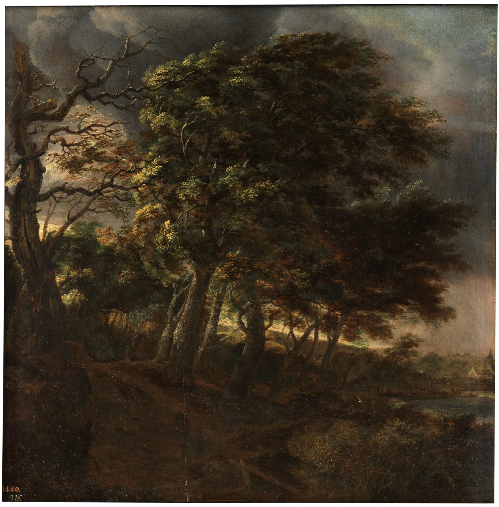 Simon de Vlieger, Forest